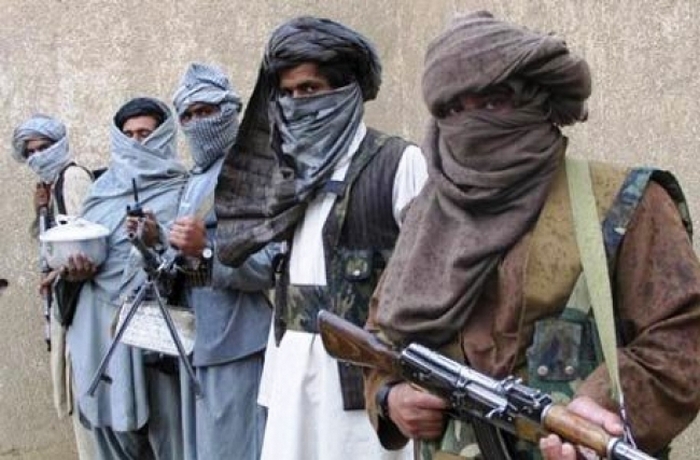 Виагра против талибов. Виагра против талибов.