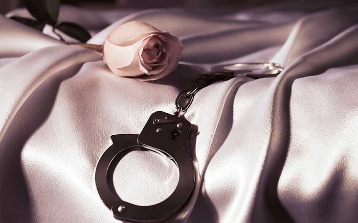 Секс-игрушки в отеле Drake в Торонто Секс-игрушки в отеле Drake в Торонто