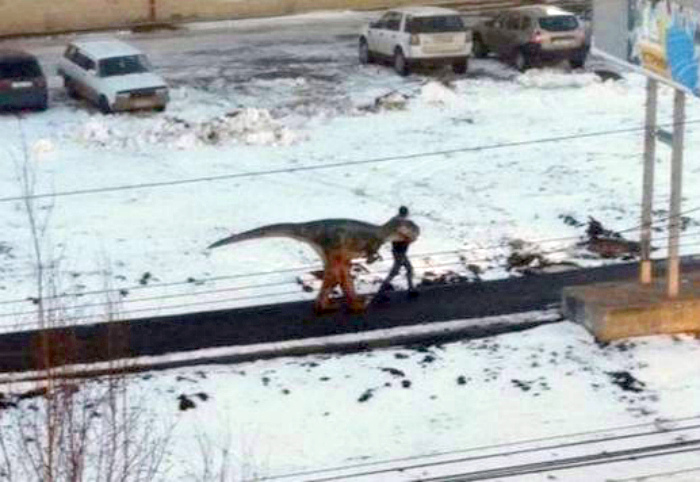 Динозаврик на выгуле.