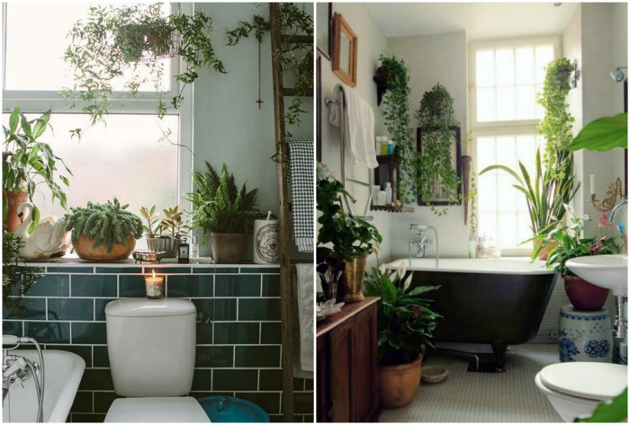 Живые растения в ванной комнате.