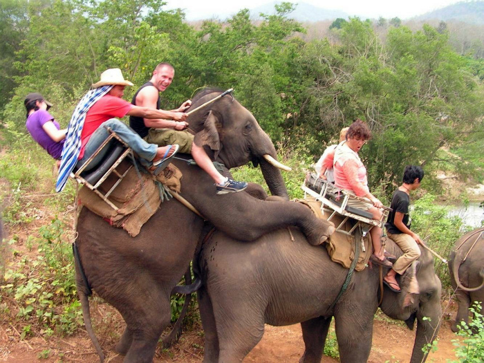 Веселое катание на слонах.
