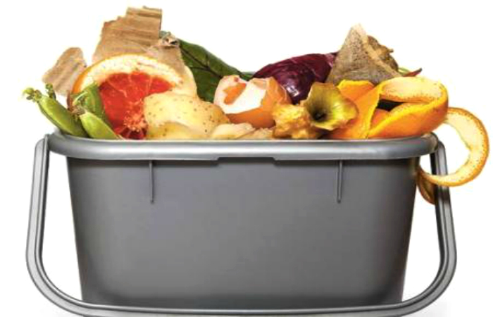 Полезные способы использования пищевых отходов.