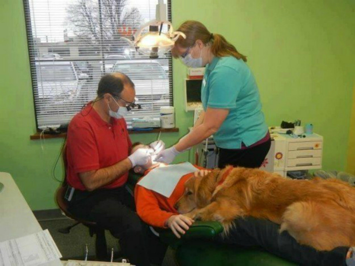 Этот пес успокаивает самых нервных пациентов.