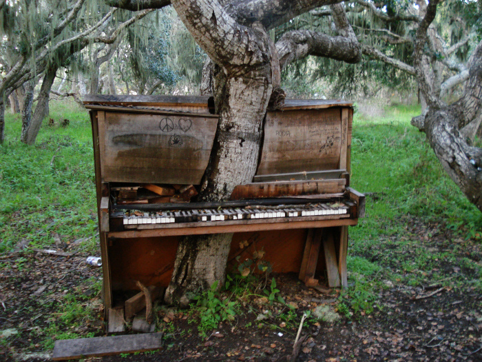 Дерево и старый рояль.