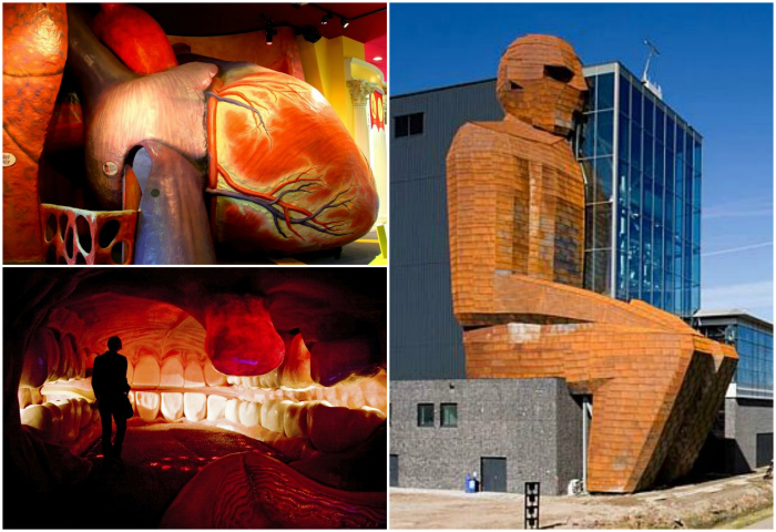 Музей человеческого тела, Нидерланды.