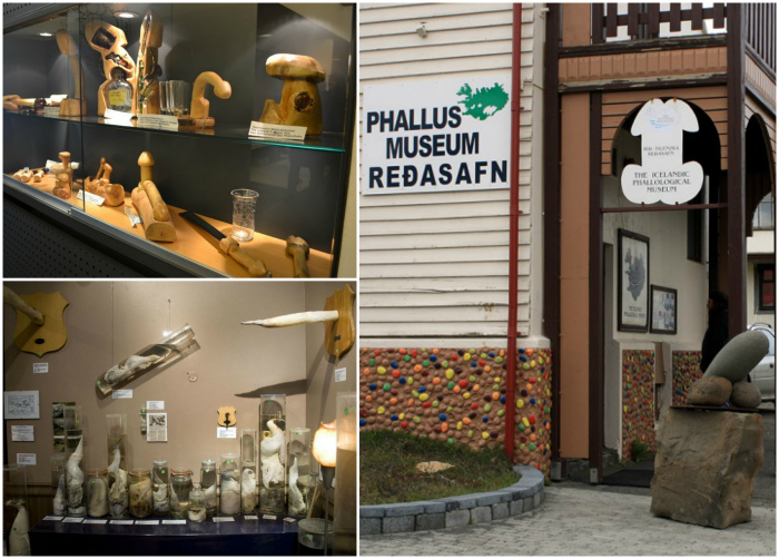 Фаллологический музей, Хусавик, Исландия.