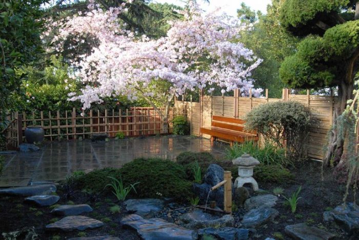 Японская вишня в саду отлично подойдет поклонникам восточной культуры.