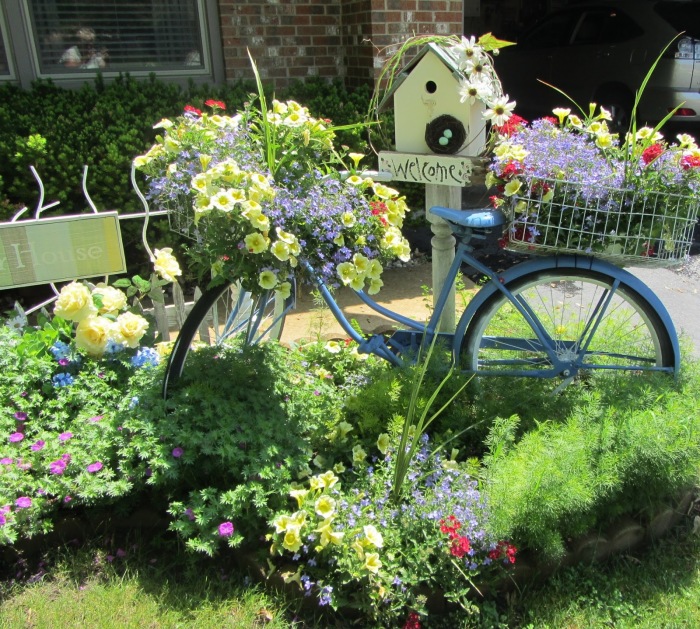 Старый велосипед может стать не только декоративным элементом в ландшафтном дизайне садового участка, но и оригинальным кашпо для небольших цветов и растений. 