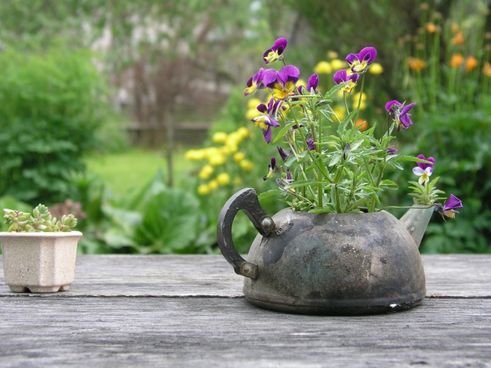 Старый чайник, который легко можно превратить в оригинальное кашпо для комнатных растений.