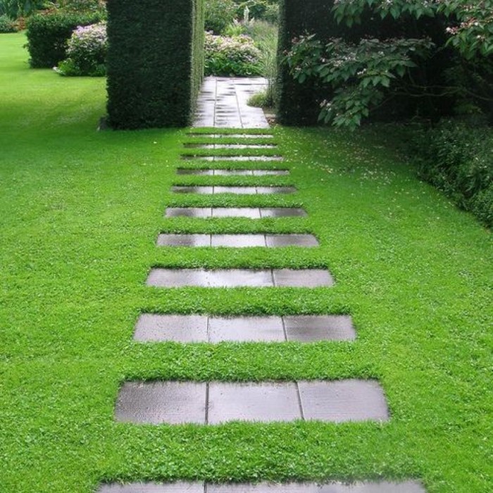 Старые керамические плитки можно легко использовать для создания садовой дорожки.