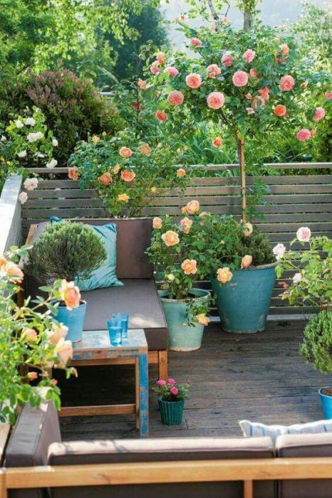Розы способны украсить и оживить любой уголок на территории загородного дома.