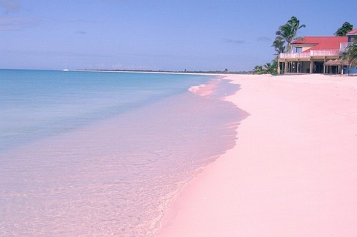 Розовый пляж «Барбуды».