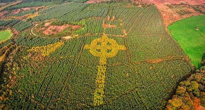 100-метровый кельтский крест в лесу в Ирландии.