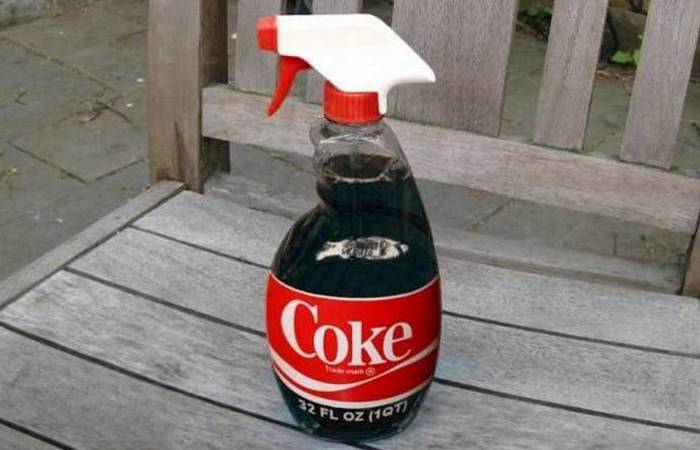 Полезный совет: Coca-Cola - эффективный убийца насекомых.