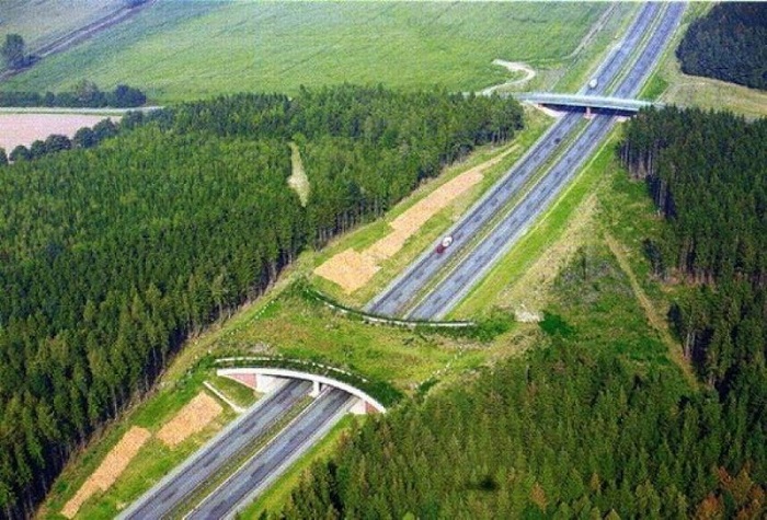 Зеленый мост для диких животных над автомобильным шоссе.