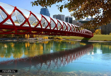 Мост-червь из Калгари Мост-червь из Калгари