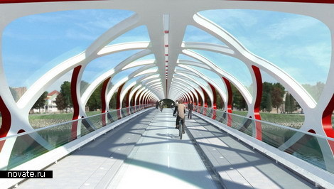 Мост-червь из Калгари Мост-червь из Калгари