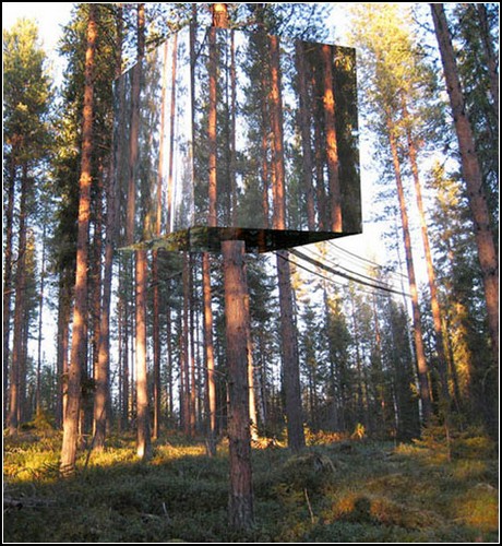 Зеркальный домик на дереве