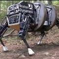 Новый американский боевой робот «Donkey» догонит и съест