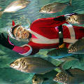 Подводный Санта-Клаус объявился в Мексике и в Японии