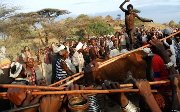 Соревнование по прыжкам через быков племени хамар