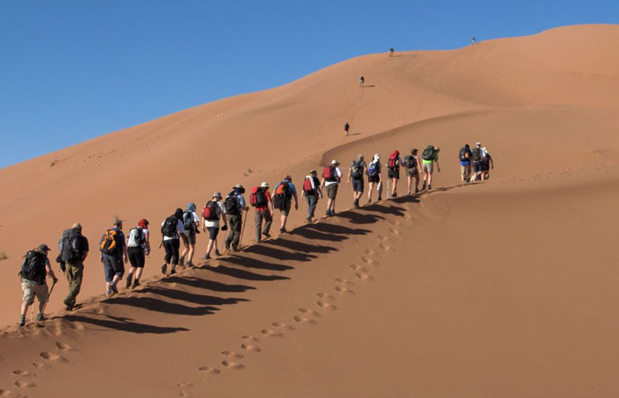 Поход в пустыню Сахара