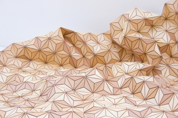 Деревянный ковёр от Elisa Stroyzk 
