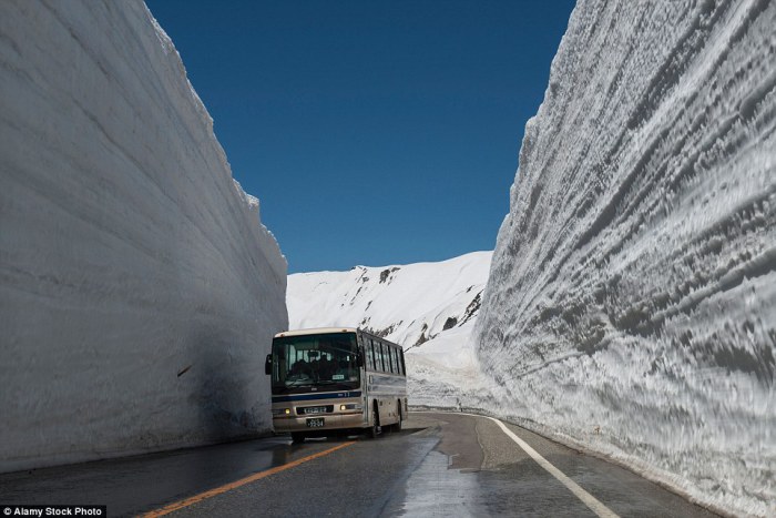 Tateyama Kurobe Alpine Route - дорога в снежном туннеле.
