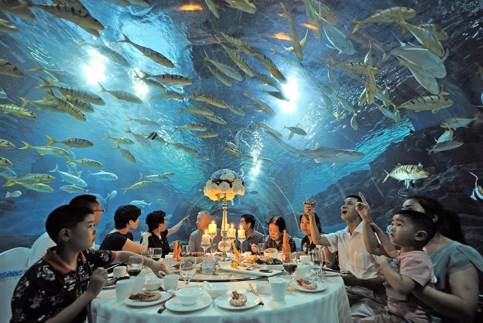 Ресторан под куполом океанариума Haichang Polar Ocean World.