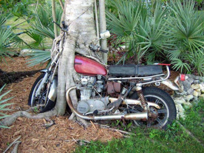 Мабуть, цей мотоцикл досить довгий час перебував під цим деревом.  Ніхто з місцевих жителів містечка неподалік не знає нічого про його власника.