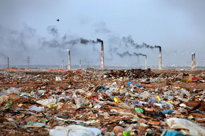 Тонни сміття, які забруднюють навколишнє середовище.