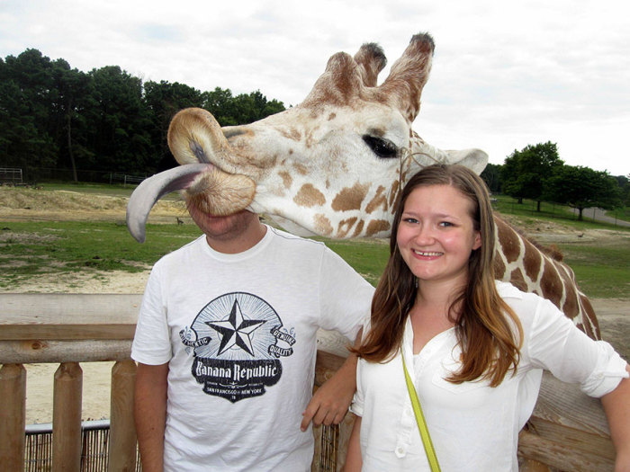 Жирафам тоже хочется быть в центре внимания.
