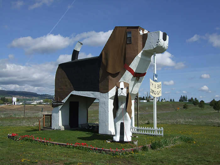 Отель в форме собаки в Коттонвуде, США