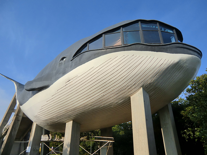 «Здание-кит» в парке в Моносеки, Япония