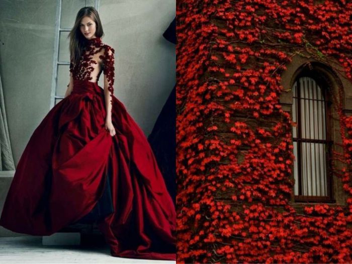 Потрясающие платья, созданные по эскизам природы, в проекте Fashion & Nature.