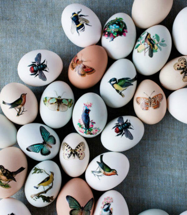 Яйца, украшенные картинками насекомых.