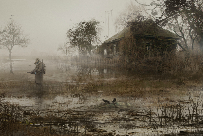 Густой туман на болоте в России.