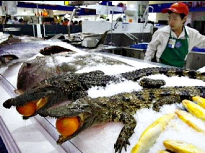 Крокодилы в мясном отделе.