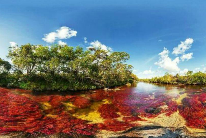 Разноцветные водоросли, которые просматриваются сквозь кристально-чистые воды реки Каньо-Кристалес.