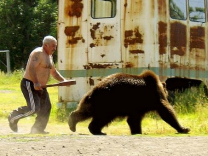 Мужчина прогоняет медведя, который забрался к нему на участок.