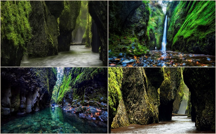 На границе между штатом Орегон и Вашингтон, в ущелье Онеонта есть красивый кусочек древней геологии популярного туристического назначения - ущелье реки Колумбия.