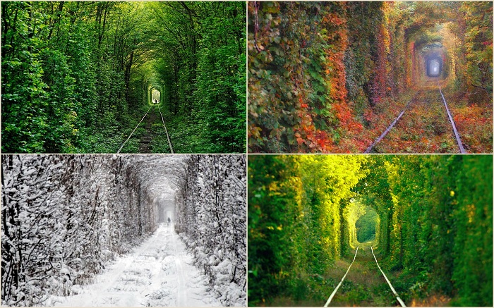 Недалеко от города Клевань, что в Ровенской области, находится одно из самых романтичных мест Украины – заброшенный железнодорожный путь длиной в два километра именуемый Тоннель любви.