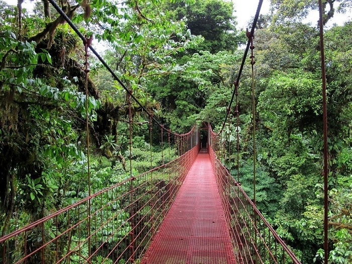 Национальный парк Монтеверде, Коста-Рика.