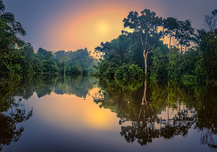 Тропические джунгли Амазонки, Бразилия.