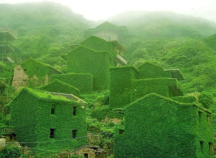 Рыбацкая деревня на китайской реке Янцзы, которая забыта. Здания покрыты зеленью, что добавляет особой атмосферы.