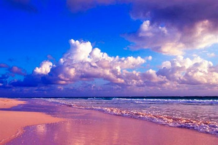 Розовый пляж &amp;amp;amp;laquo;Грейт-Санта-Круз&amp;amp;amp;raquo;.