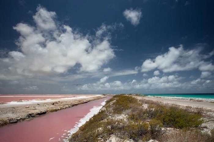 Розовый пляж &amp;amp;amp;laquo;Бонайре&amp;amp;amp;raquo;.